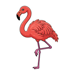 Cute Cartoon Flamingo Standing on One Leg Isolated on White Background