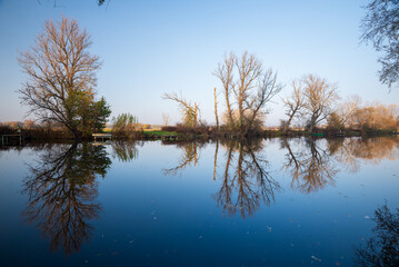 Raba river with the backwater in spring, Gyirmot, Gyor, Hungary