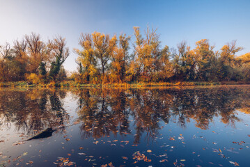 Raba river with the backwater in autumn, Gyirmot, Gyor, Hungary