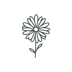 A detailed illustration of a daisy flower on a simple white background, ideal for nature-themed projects