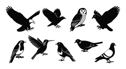 Obraz premium Collection of black bird silhouettes eagle hummingbird