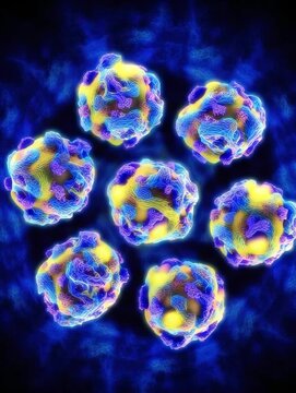 Cluster of picornavirus particles spreading in host tissue during infection