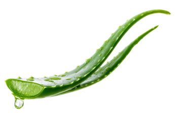 Close-up of two green aloe vera leaves, one sliced with a droplet, on a black background