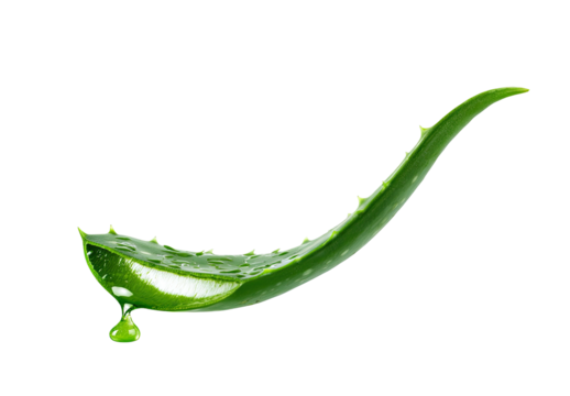 Cut aloe vera leaf with a droplet of gel, isolated on a black background