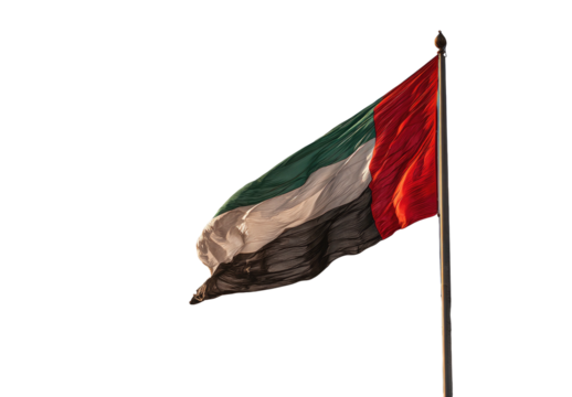 A flag with red, green, white, and black stripes waving against a stark, black background