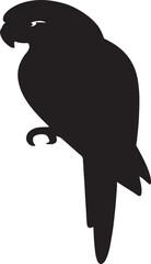 vector illustration of a silhouette of a bird