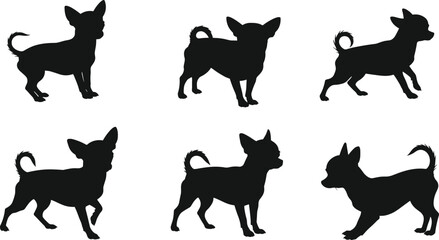 Chihuahua dog silhouette vector illustration, small pet design, black puppy artwork, domestic animal graphic, cute toy breed image, canine posture drawing