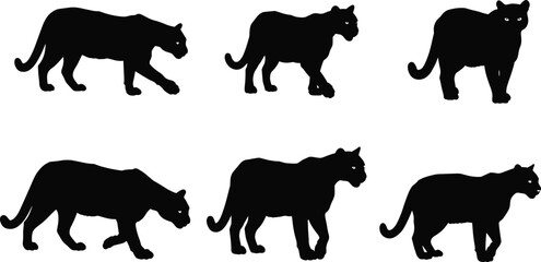 Silhouette panther walking sequence, big cat motion study, wild animal gait cycle, feline movement reference, jungle predator illustration, animation design