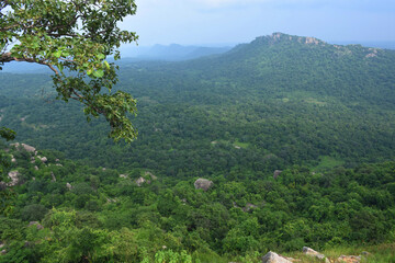 scenic hill view where full of greenery, place of clear and pollution free environment.