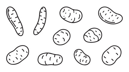 Hand drawn potatoes variety shapes and sizes simple sketch organic root vegetable food icon set vector