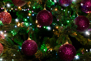 Shiny festive background of Christmas tree decorated with purple balls and sparkling lights garland, selective focus