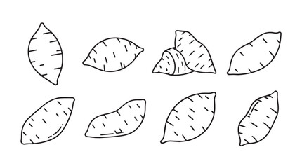 Hand drawn sweet potato collection fresh organic root vegetables collection sketch style vector