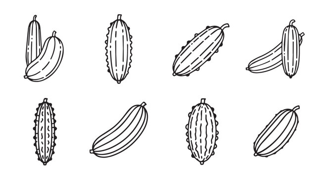 Collection of hand drawn sketch style cucumbers in various poses and angles vector
