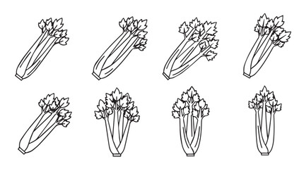 Fresh celery stalks isolated healthy vegetable food illustration line art drawing vector