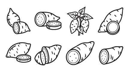 Hand drawn sweet potato collection whole cut sliced with leaves rustic sketch style vector
