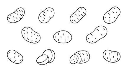 Variety of hand drawn potatoes depicting different angles and slices for culinary use vector