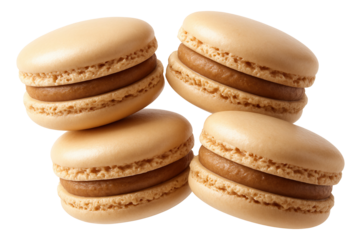 Traditional bamboo sushi mat rolled with maki, each slice displaying a vibrant cross-section of ingredients.