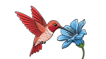 Obraz premium A vibrant illustration of a ruby-throated hummingbird with outstretched wings, feeding on a delicate blue flower.