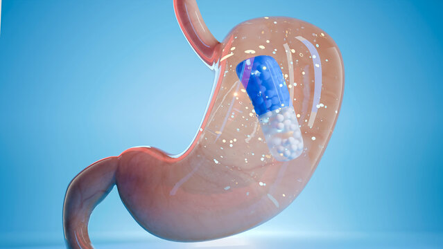 Capsule pill inside human stomach showing digestion process, medicine treatment, pharmaceutical therapy, healthcare, drug absorption, medical cure, stomach medication, digestive system, 3d render