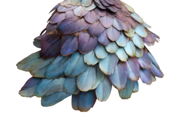 Feathery Texture with Metallic Blue and Purple Scales in Gradient Pattern on Transparent Background