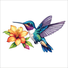 Obraz premium Vibrant hummingbird hovering near a blooming flower