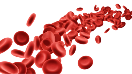 Dynamic flow of vibrant red blood cells transporting vital oxygen through the circulatory system, a microscopic marvel of life's journey.