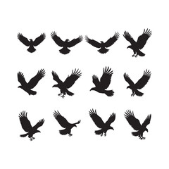 Obraz premium A set of silhouette of flying eagle black vector on white background