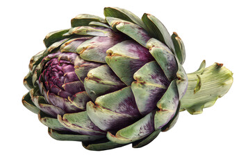 Fototapeta premium Close Up of Purple Artichoke with Green Leaves on a Transparent Background
