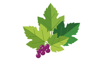 Vibrant Grape Leaves with a Small Cluster of Purple Grapes: A Fresh and Natural Vector Illustration Representing Viticulture, Wine, Autumn Harvest, or Organic Produce