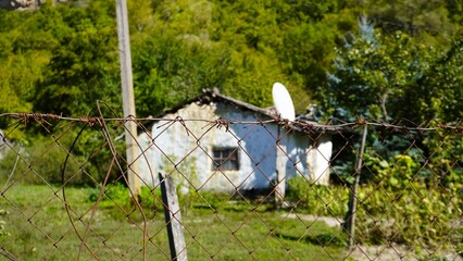 an old house in the forest