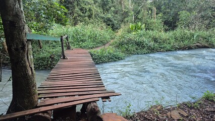 Waterfalls and rivers in the Amazon rainforest
