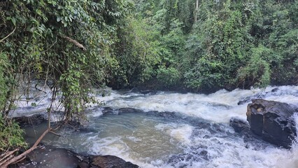 Waterfalls and rivers in the Amazon rainforest
