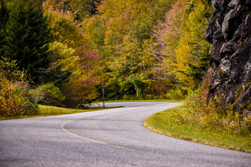 road in autumn