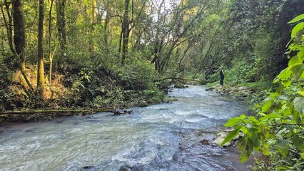 Waterfalls and rivers in the Amazon rainforest

