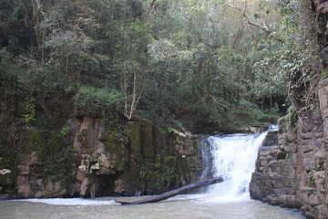 Waterfalls and rivers in the Amazon rainforest
