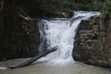 Waterfalls and rivers in the Amazon rainforest

