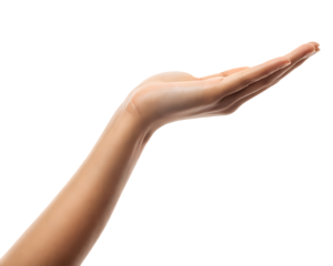 3d icon of open female palm facing upwards, isolated on transparent background