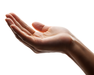 3d icon of closeup of a womans open hand, isolated on transparent background