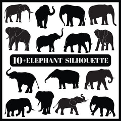 Elephant silhouette set box icon Elephant illustration silhouette Elephant