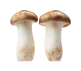 Two king oyster mushrooms, cut-out style, with tan caps and thick white stems, on black background