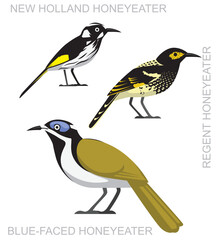 Bird Honeyeater Australia Set Cartoon Vector