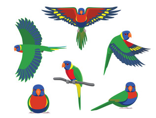 Obraz premium Rainbow Lorikeet Parrot Various Poses Cartoon Vector Character