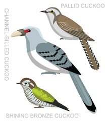 Bird Cuckoo Australia Set Cartoon Vector