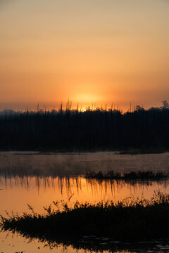 Golden sunrise reflects across calm Pine Barrens wetlands, with mist rising through silhouetted trees and grasses under a glowing morning sky.