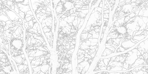 Naklejka premium Black and white seamless floral pattern with vintage leaves and tree design