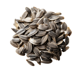 Overhead studio shot of a pile of dark-shelled sunflower seeds against a stark, black backdrop