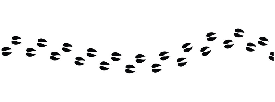 Silhouettes of animal footprints of goat &ndash; black vector tracks of birds, reptiles, and mammals. includes paw prints, hoof marks, and steps from wolf, duck, frog design in eps 10.