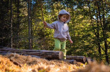 Little boy plays with sticks while walking in the forest