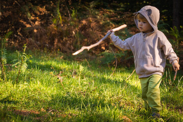 Little boy plays with sticks while walking in the forest