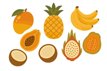 Vibrant set of exotic tropical fruits: mango, pineapple, bananas, papaya, coconut, and dragon fruit